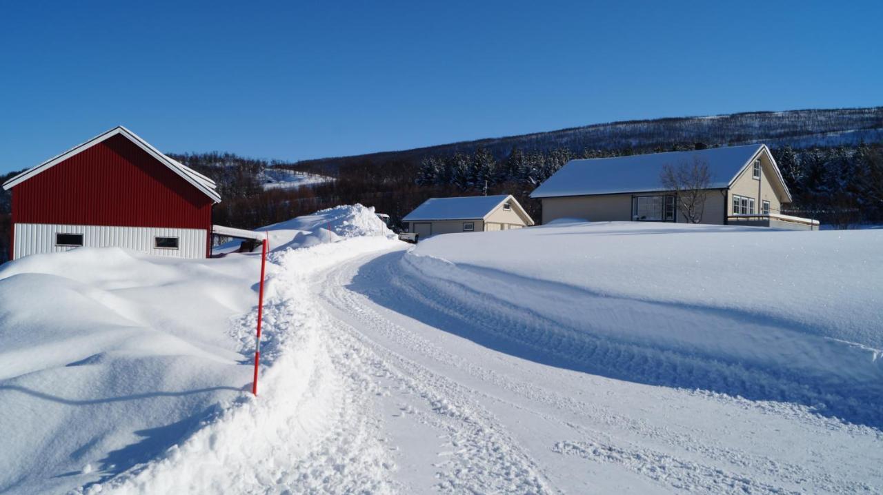 Heggelund Villa Svensby Luaran gambar